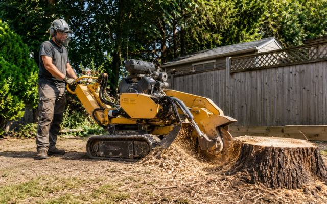 Stump grinder wheel buried in a backyard stump with chips flying clear